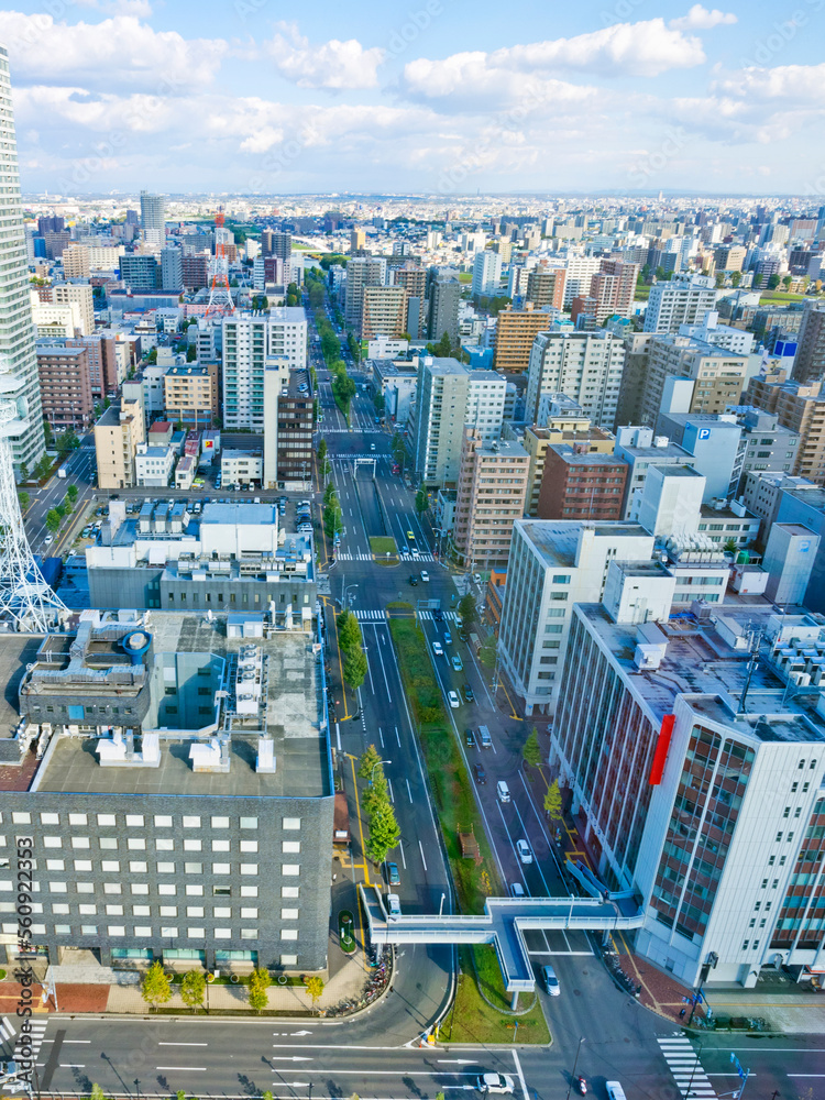 Fototapeta premium Cityscape of Sapporo, Hokkaido, Japan.