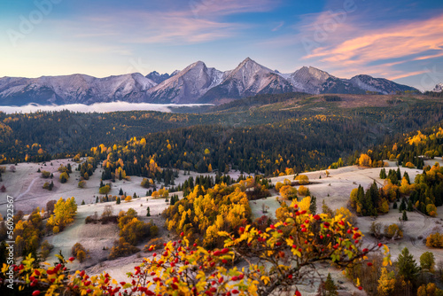 Fototapeta Naklejka Na Ścianę i Meble -  Autumn landscape in the mountains