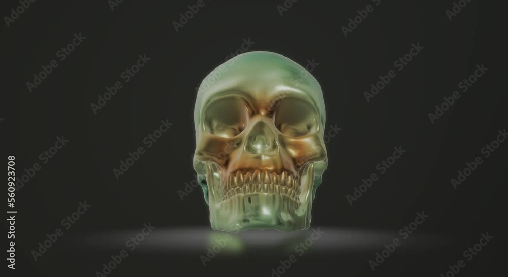 human skull, skeleton human skull, skeleton