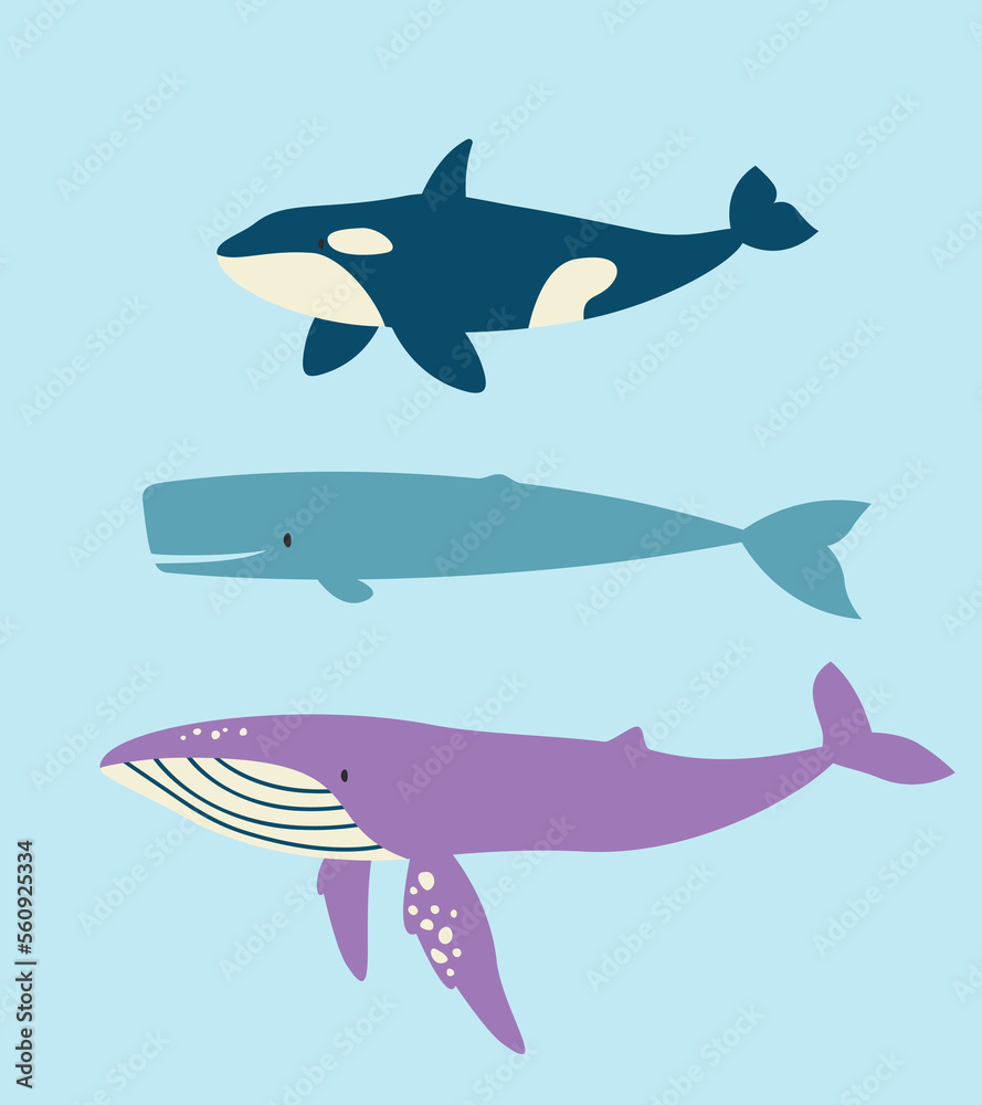 Set of different whales in flat style. Beautiful underwater inhabitants. Set of different whales in flat style. Beautiful underwater inhabitants.