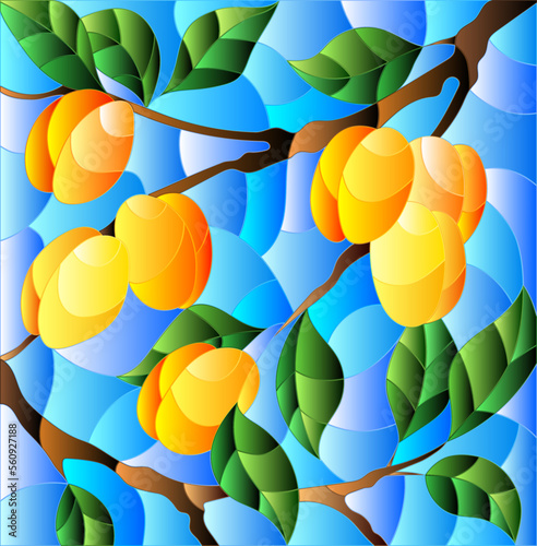 Illustration in the style of a stained glass window with the branches of apricot  tree , the  branches, leaves and fruits against the sky