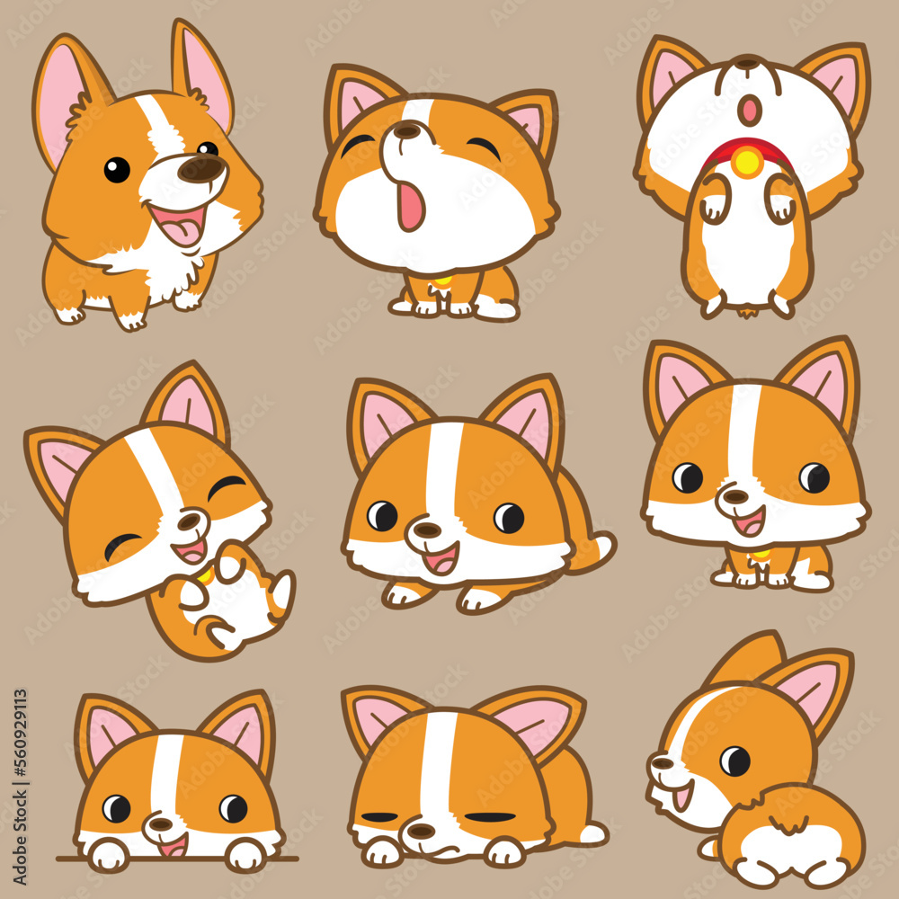Vector cute cartoon corgi dog illustration collection