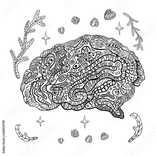 Vector illustration Human brain. Line colouring anatomy draws decorative curves, creative mind, learning and design. Adult anti-stress colouring book. Floral stylised black and white Human brain