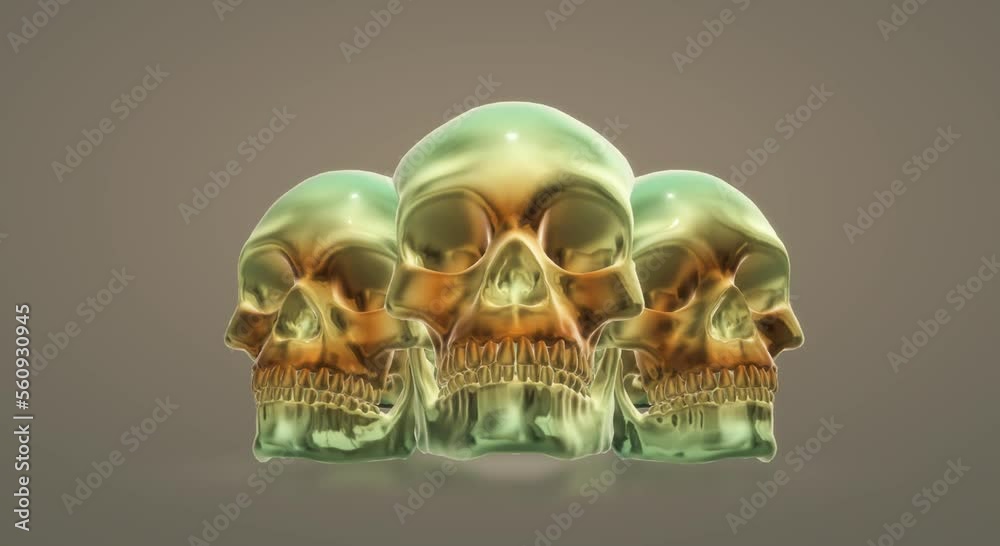 human skull, skeleton