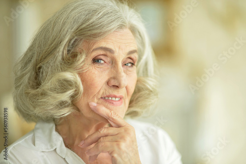 Portrait of smiling senior woman posing at home
