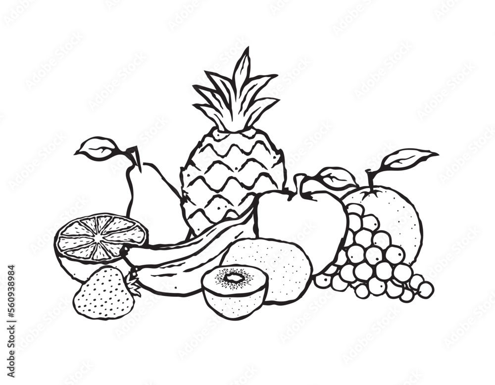 Vector illustration of a group of different fruits Vector illustration of a group of different fruits