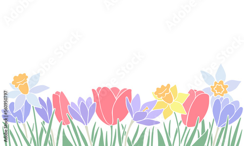 Spring flowers border with crocus, daffodils, and tulips with stems and leaves