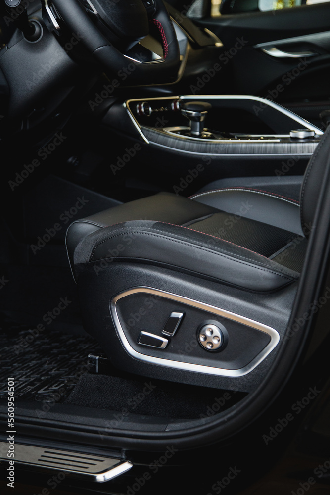 Door seat adjust button switch control in luxury business car