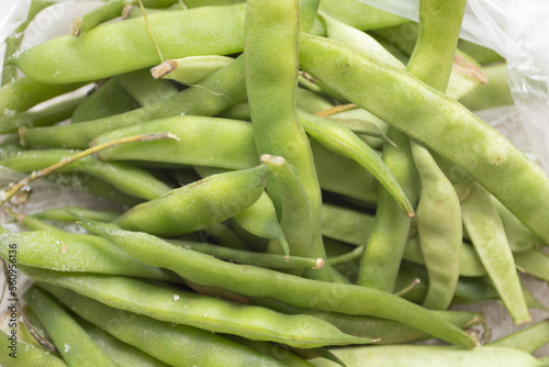 Pods of fresh green beans.