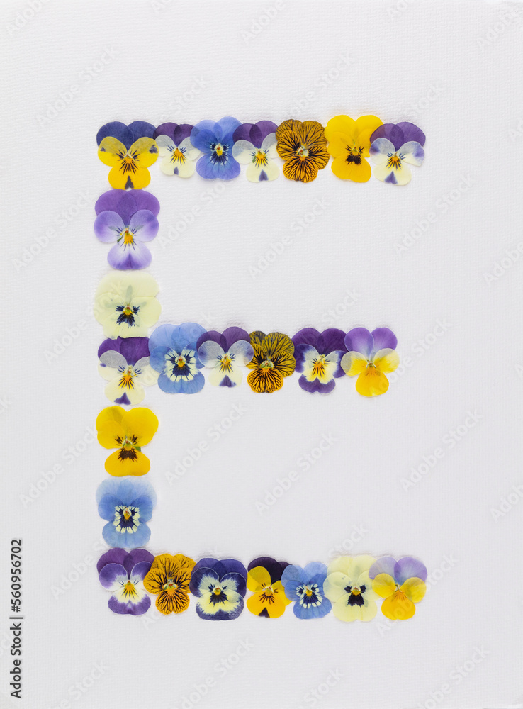 Flower font Alphabet a,b,c,q, r, s, t, made of Real pansy flowers.