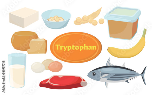 Vector illustration of foods containing tryptophan.