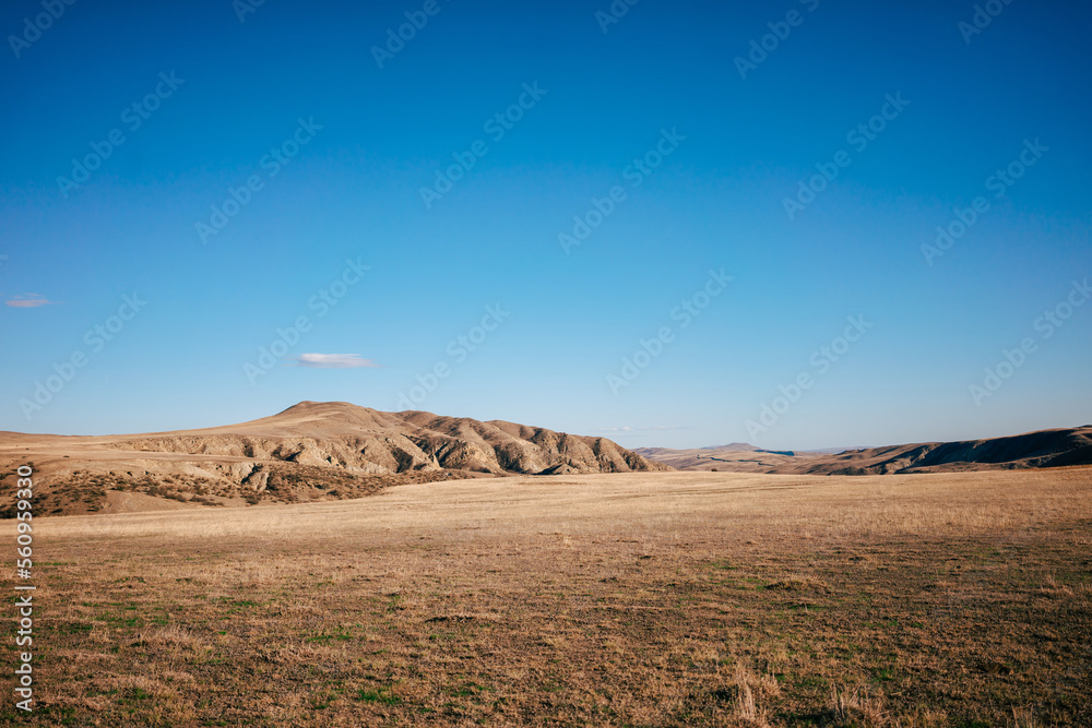 Landscape shot of the Georgian steppe Udabno in Georgia. Yellow-gold grass, wide land and blue sky. endless fields Landscape shot of the Georgian steppe Udabno in Georgia. Yellow-gold grass, wide land and blue sky. endless fields