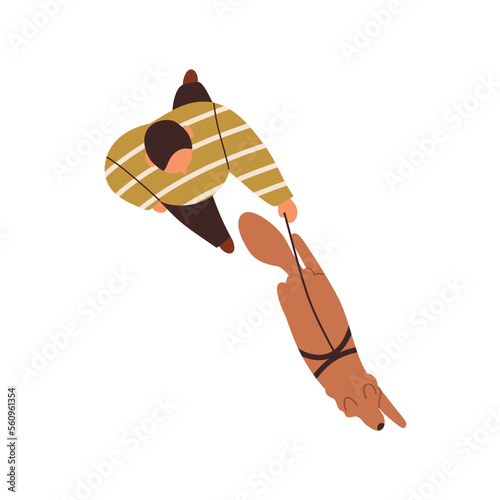 Overhead dog owner walking with doggy. Man leading canine animal on leash, above top view. Person strolling with puppy outdoors on street. Flat vector illustration isolated on white background