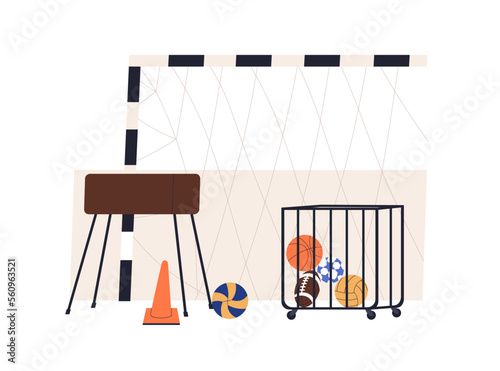 School gym, class for PE, physical education, training. Sport hall, empty gym...
