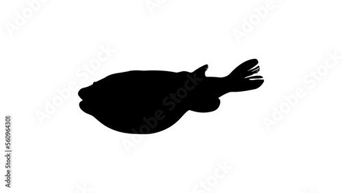 Fugu silhouette