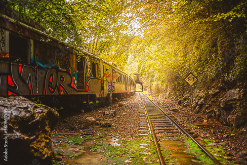 Canvastavla Derailed train in the middle of the mountains in Fuso de la Reina, Asturias