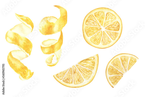 Hand drawn watercolor illustrations of yellow lemon fruits set. slices and peel