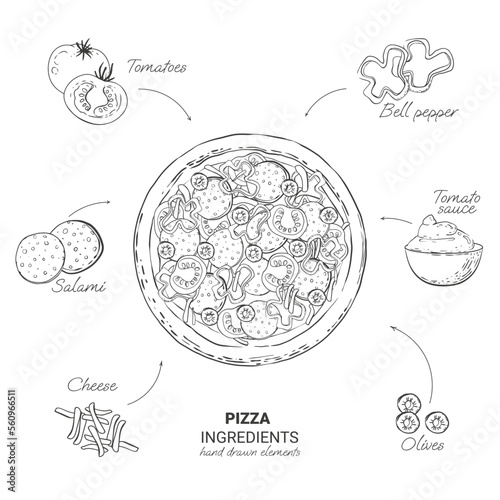 hand drawn pizza ingredients in vector and illustration