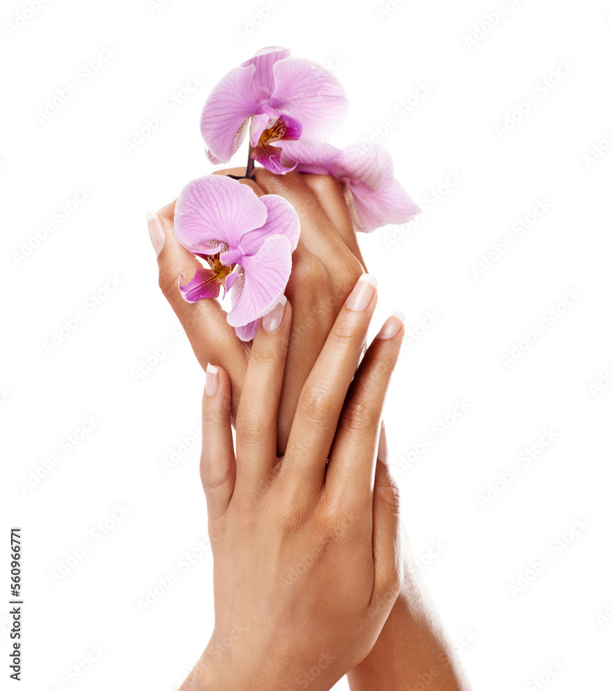 Manicure, orchid flower and nails on hands of a woman after spa or beauty salon treatment in studio. Female model with pink flowers for floral background, health and wellness with natural cosmetics