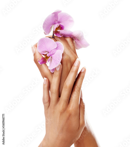 Manicure  orchid flower and nails on hands of a woman after spa or beauty salon treatment in studio. Female model with pink flowers for floral background  health and wellness with natural cosmetics