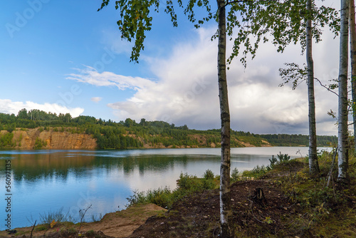 Trunks of birch trees on the lake shore with snow-white clouds in the sky.