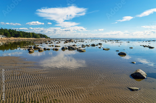 The Gulf of Finland with a shallow shore in the resort area of St. Petersburg.
