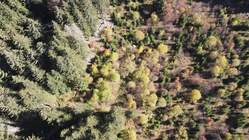 Amazing Aerial Autumn of Vitosha Mountain, Bulgaria Amazing Aerial Autumn of Vitosha Mountain, Bulgaria