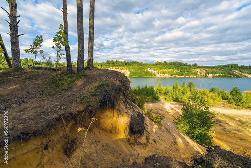 Trees on the edge of the cliff and the shore of the lake .Summer landscape.