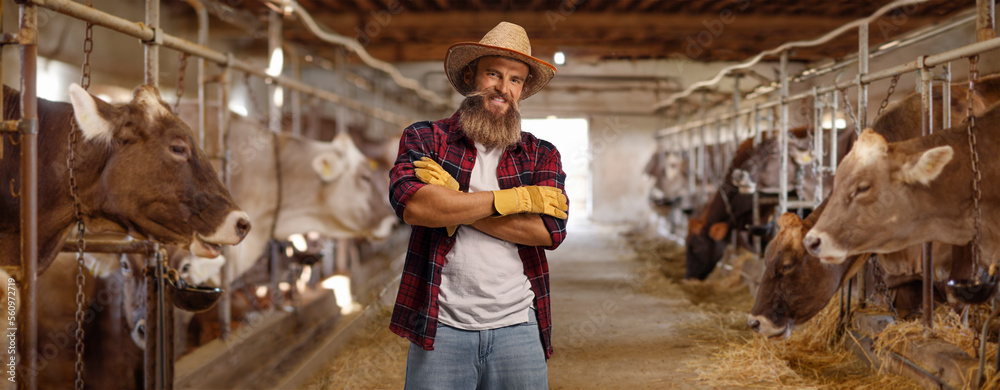 Bearded farmer with hat and gloves posing inside a diary farm Stock