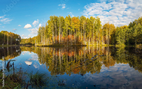 Autumn trees in the forest are reflected in the pond .