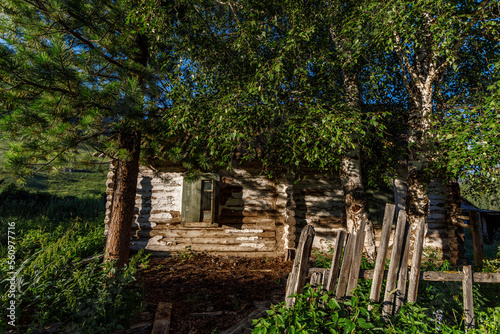 old wooden fence