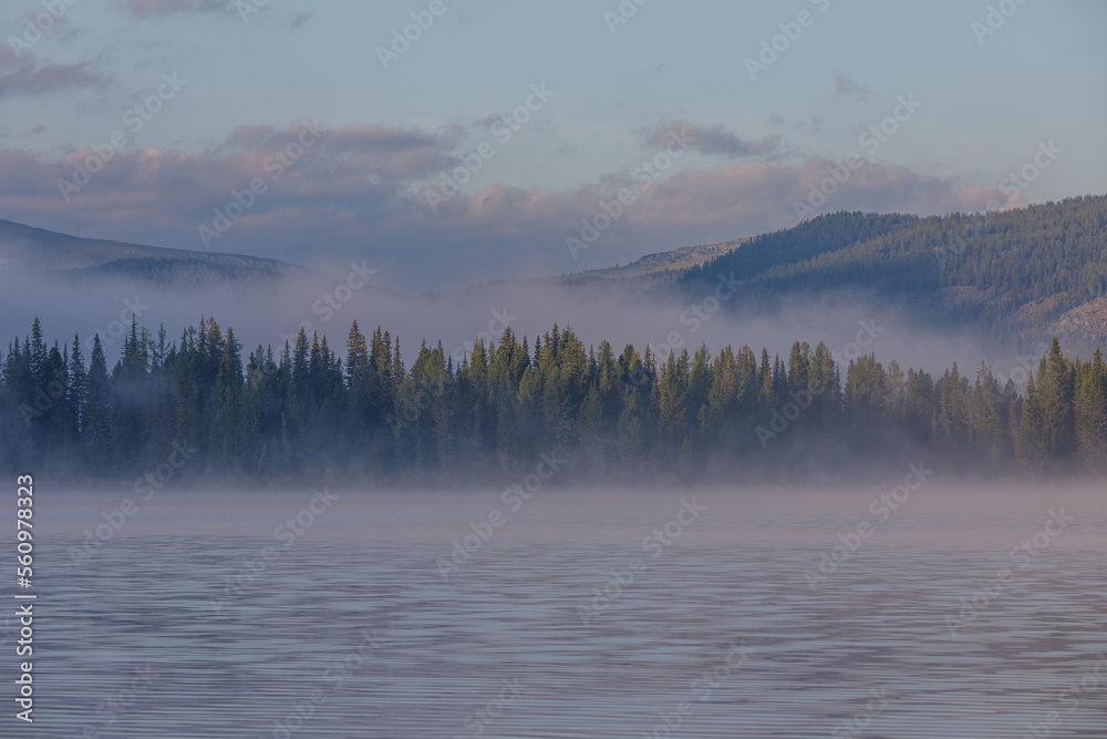 Fototapeta premium fog over the river