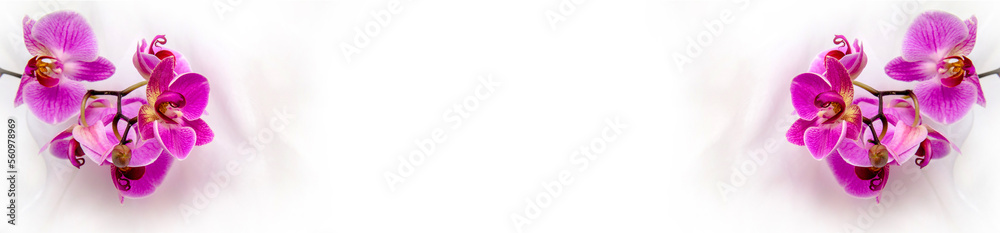 Fototapeta premium The branch of purple orchids on white fabric background 