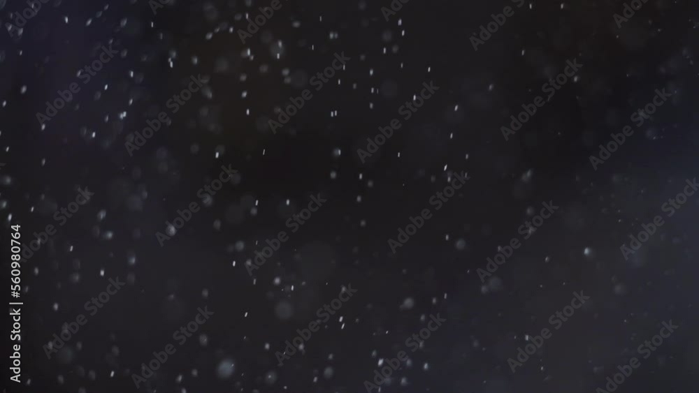 snow snow