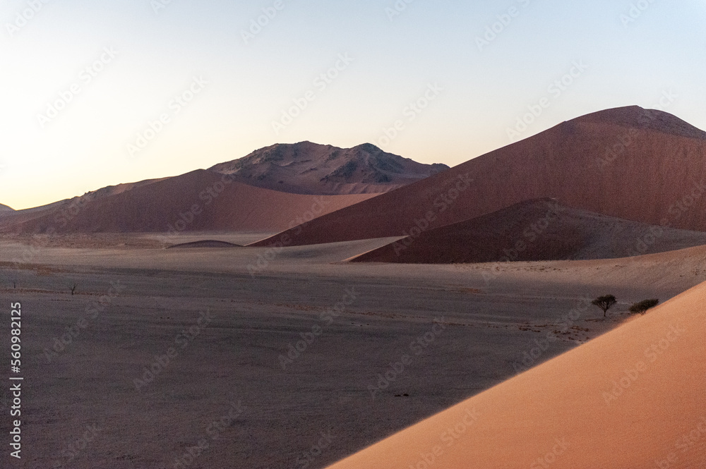 Exterior shot of the Namibian Sossusvlei sanddunes near the famous Dune 45 around sunrise