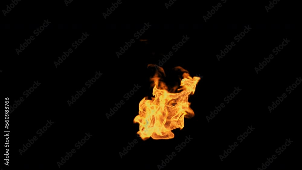 a torch flame. torch fire on black background