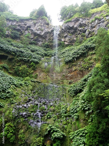 Cascade Salto da Inglesa dans le forêt humide du Parque da Grena sur l'île de Sao Miguel dans l'archipel des Açores au Portugal Europe © CHRISTINE