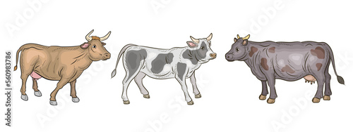 Animals, a color image of a cow. Vector drawing. © Ivan Voronov