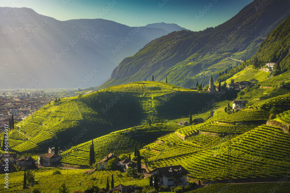 Vineyards view in Santa Maddalena, Bolzano. Alto Adige South Tyrol, Italy.