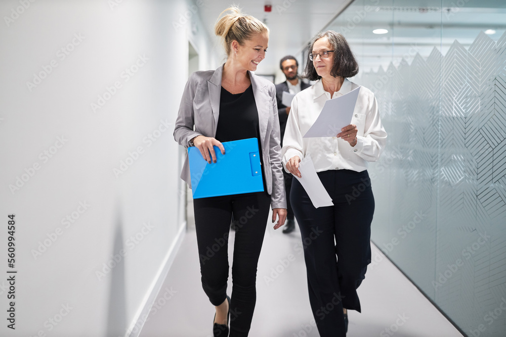 Fototapeta premium Zwei Business Frauen mit Unterlagen reden über ein Projekt