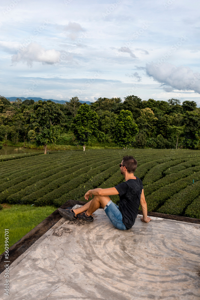 Man looking a Scenic view of a tea crops in a farm In Chiang Rai, Thai Man looking a Scenic view of a tea crops in a farm In Chiang Rai, Thai