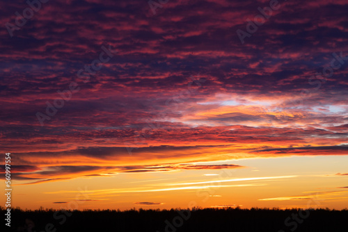 Sunset sky, orange and pink clouds © SVETLANA