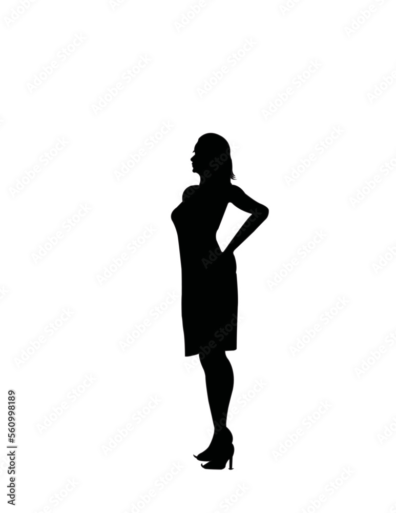 silhouette of a professional person