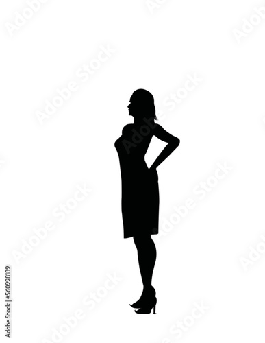 silhouette of a professional person