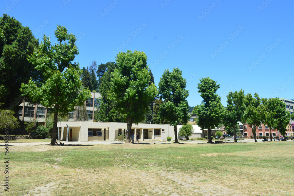 the campus of the university of concepcion in chile with the clock tower in the background the campus of the university of concepcion in chile with the clock tower in the background