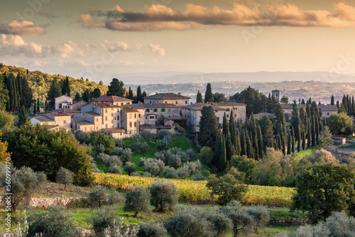  Castellina, Fonterutoli, Siena. Panorama del borgo con vigneto, cipressi e uliveto.