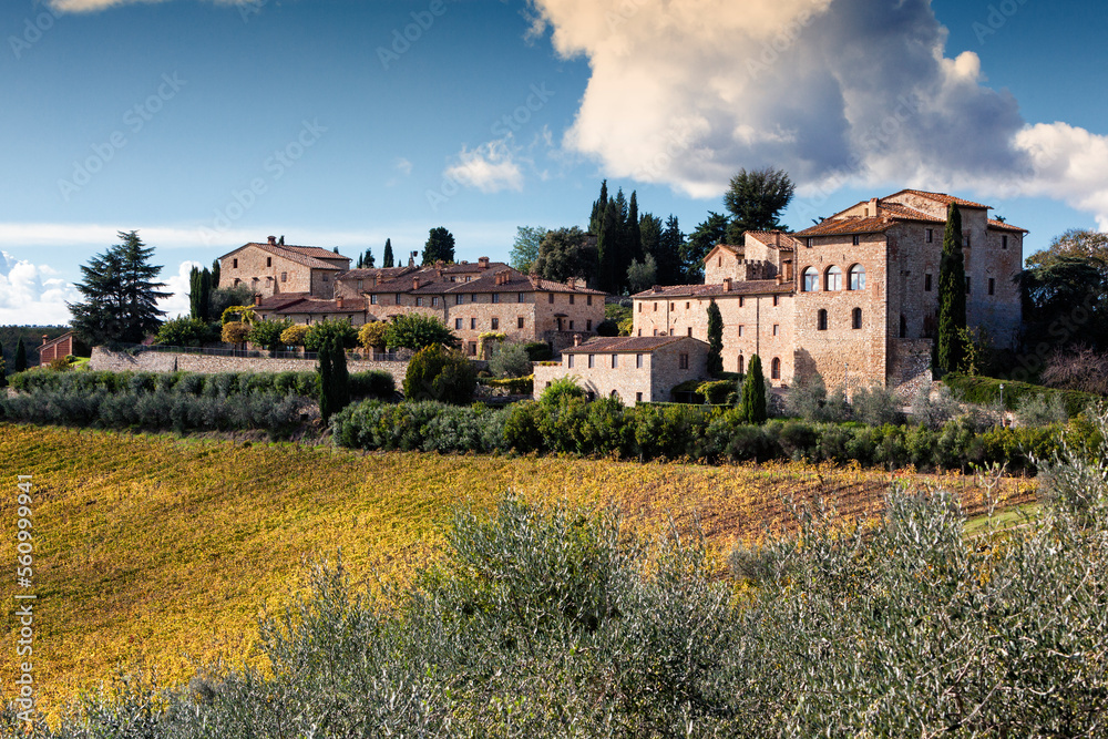 Gaiole in Chianti, Siena. Castello di Lucignano o della Berardenga con vigneto di Chianti
