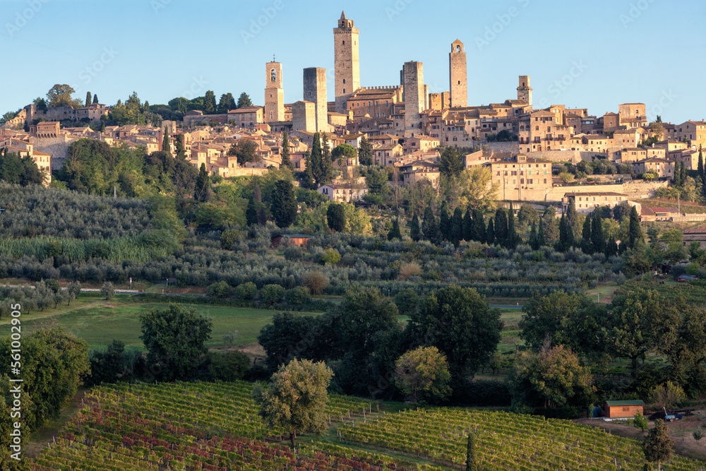 San Gimignano, Siena. Veduta della cittadina con le torri nel contesto rurale San Gimignano, Siena. Veduta della cittadina con le torri nel contesto rurale