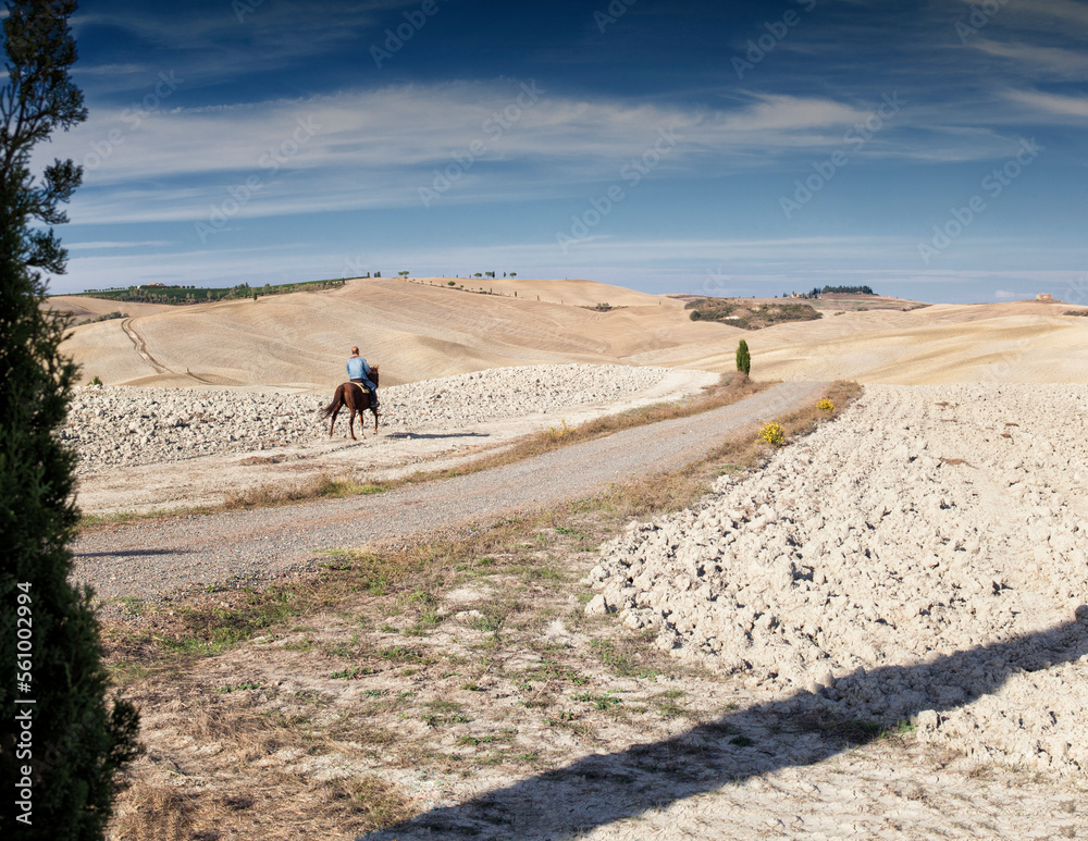 Asciano, Siena. Paesaggio delle Crete senesi con strada, cipresso e cavaliere