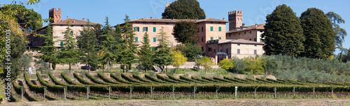 Lucignano d'Arbia, Monteroni d'Arbia, Siena. veduta del borgo con vigneto photo
